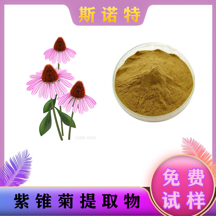 紫锥菊提取物 含植物多酚 基地种植原料 质量稳定 可提供样品