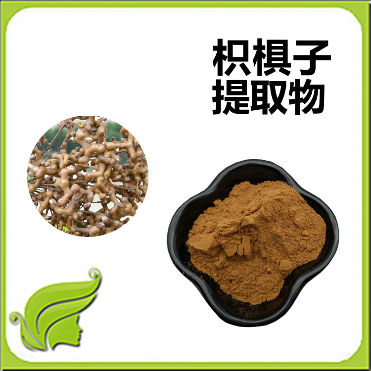 枳椇子提取物 国标生产 植物萃取工艺 可定制 粉末精细