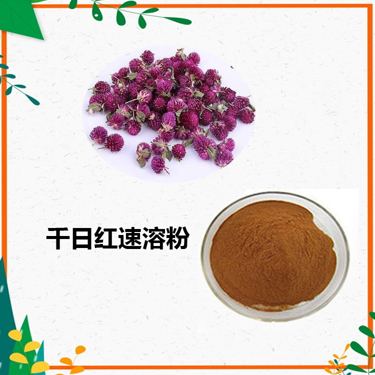 千日红提取物 10:1 水提 千日红浸膏 千日红浓缩粉 千日红水溶粉
