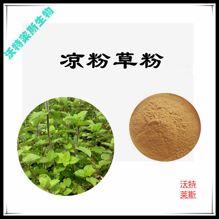 凉粉草提取物 10:1 水提 凉粉草粉 凉粉草浓缩粉 全水溶