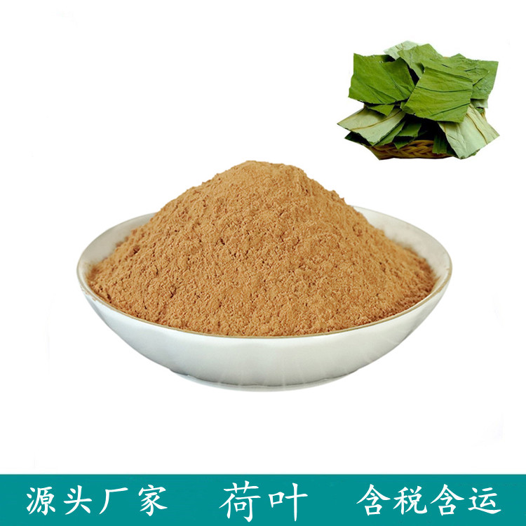 水溶荷叶粉 荷叶碱10:1水提浓缩 斯诺特可拆包打样