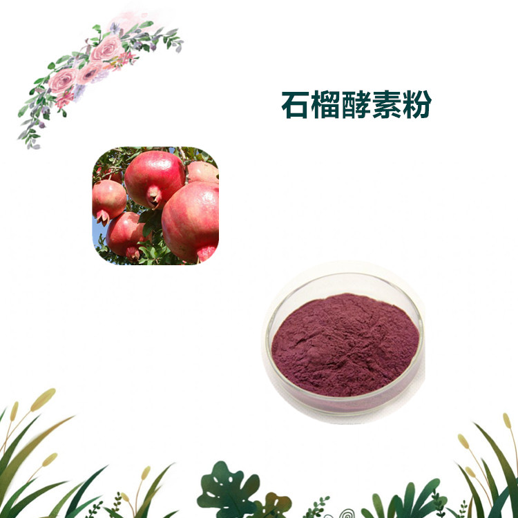 沃特莱斯生物 石榴酵素粉 喷雾干燥粉 多规格订制 可寄样