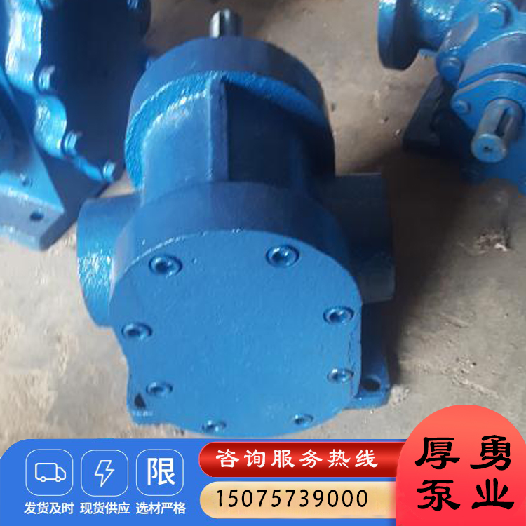 YCB不锈钢圆弧齿轮泵 防爆油泵 酸性液体输送泵 移动式齿轮泵 抽粪泵  食品级转子泵