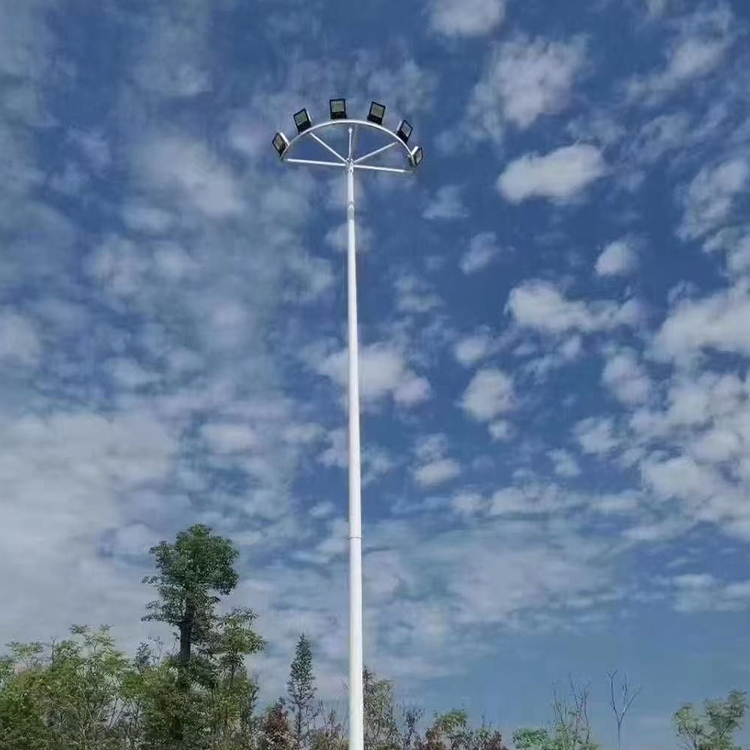 高中杆灯厂家定制 LED道路照明灯 小区别墅花园亮化照明 支持安装