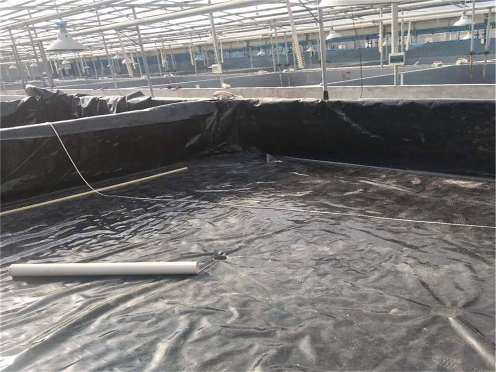 hdpe聚乙烯薄膜 鱼塘PE防渗膜0.4/0.5mm 沼气池黑膜水产养殖土工膜