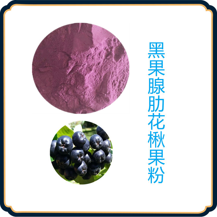 黑果腺肋花楸果粉   粉末细腻  固体饮料  食品级  三遍水提    质量稳定