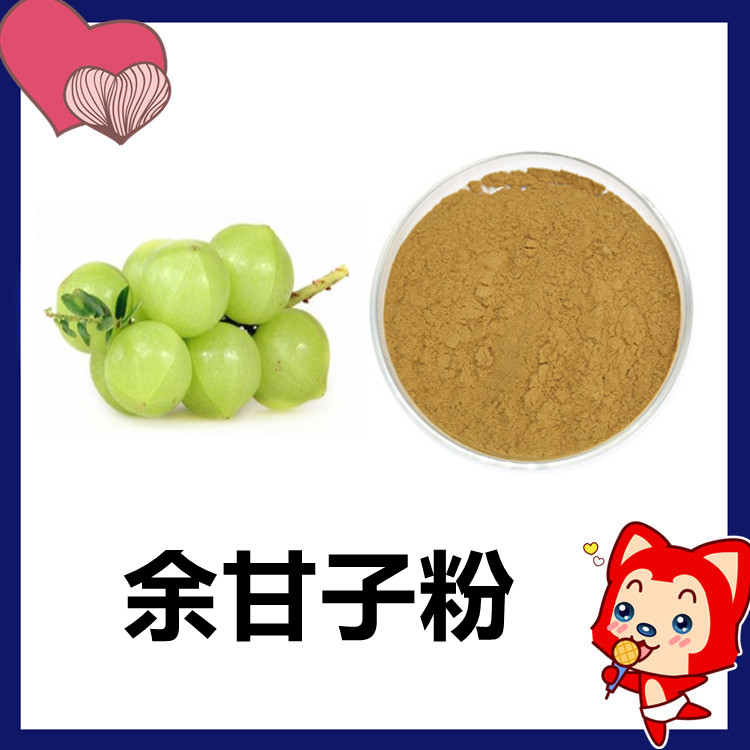 余甘子粉 颜色棕黄 质量稳定 全水溶粉末 口感微苦 六盘韵生物