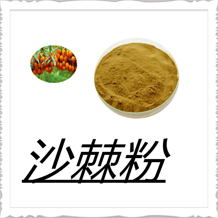 沙棘粉   粉末流动性好   比例产品   质量稳定   食品级   全水溶     包邮