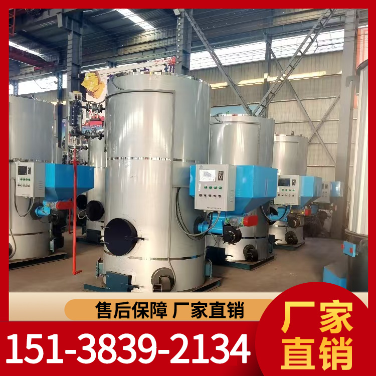 生物质蒸汽发生器 生物质发生器 厂家直销 力能锅炉现货批发销售