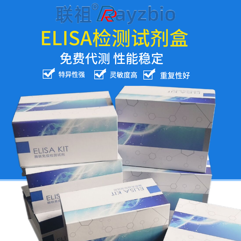 PCX足细胞标记蛋白/足盂蛋白ELISA检测试剂盒