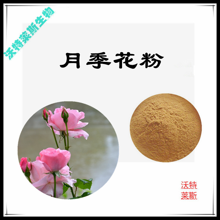 月季花提取物 10:1 水提 多规格比例 月季花粉 月季花浓缩粉