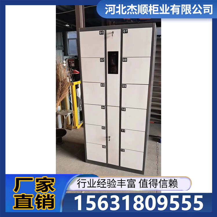 存包柜 工厂储物柜 多层置物层板可调节 全国发货