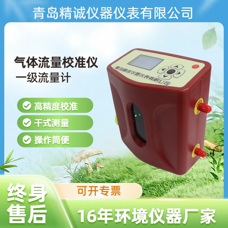DCal30L气体流量校准仪 高精度干式校准 便携式流量计 环保实验室用
