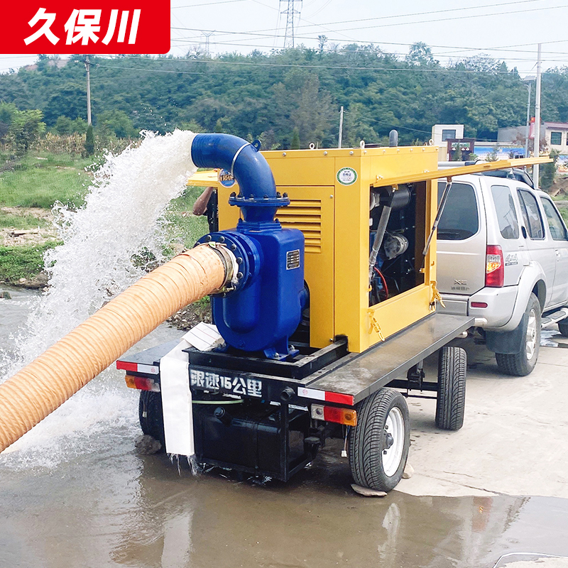 2000立方柴油水泵现货出售
