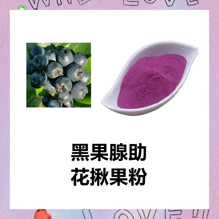 黑果腺勒花楸果粉 水溶无沉淀 六盘韵  食品饮料原料 国内包邮