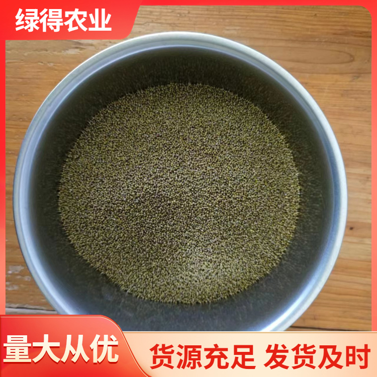 绿小米厂家批发