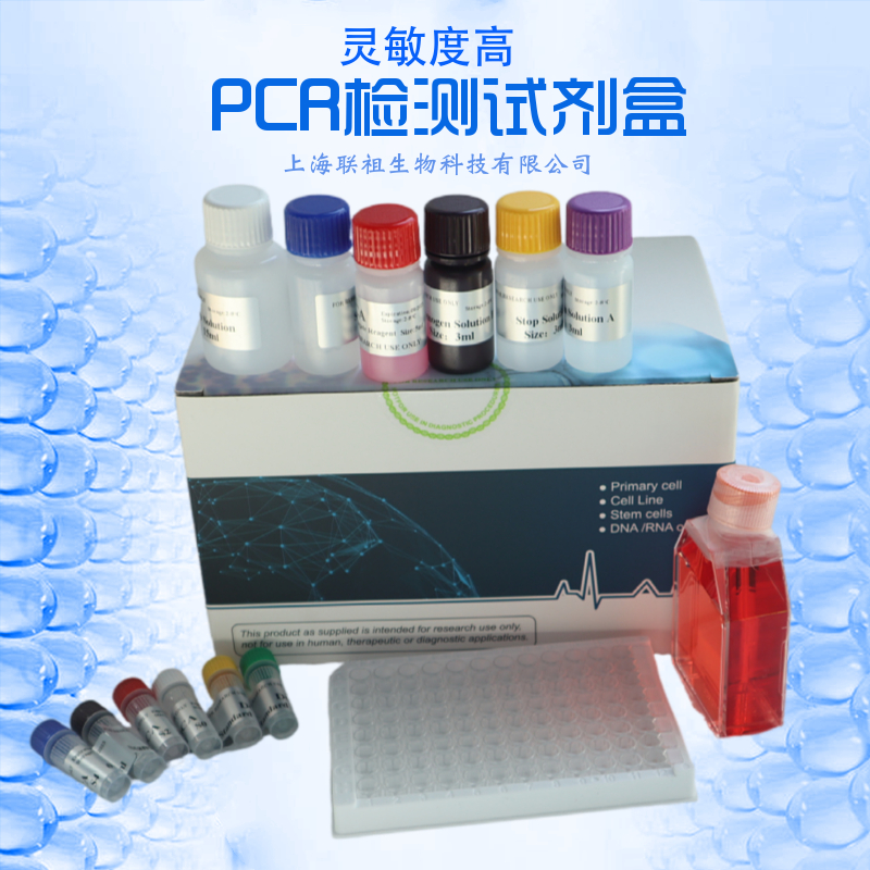 创伤弧菌核酸检测试剂盒（PCR-荧光探针法）