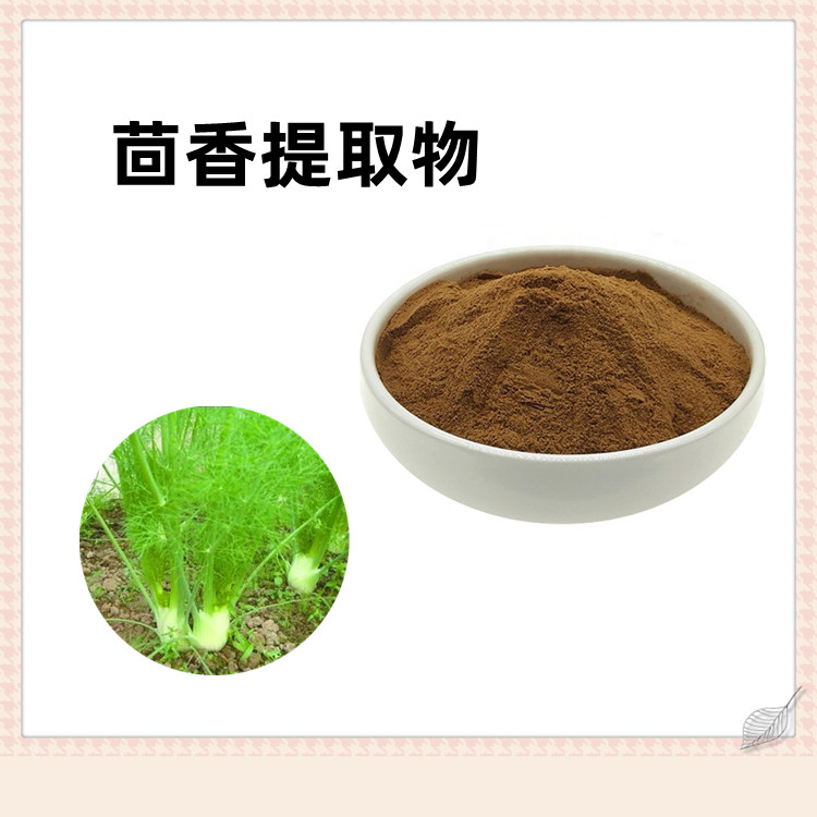 茴香提取物  清澈透亮无杂质 比例提取 规格齐全可做固体饮料