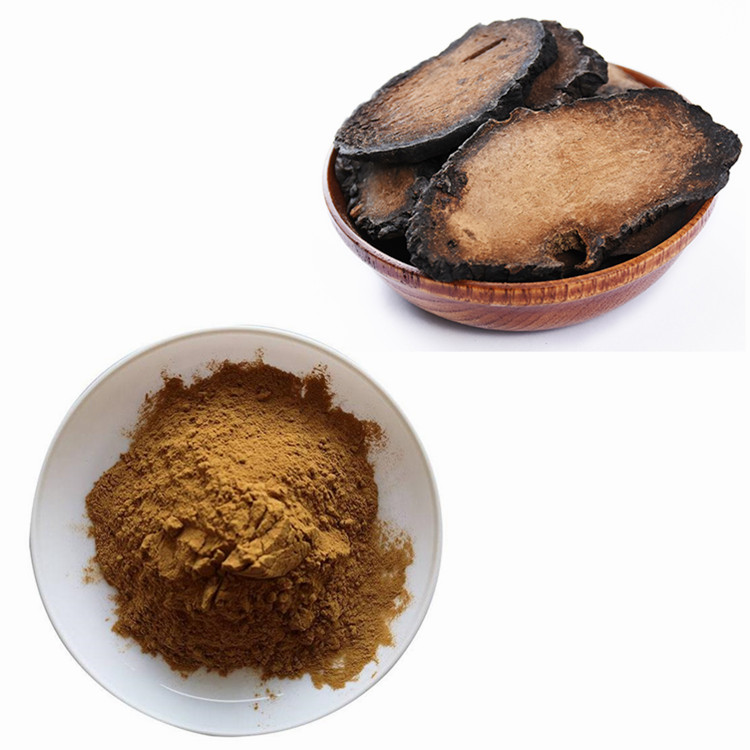 肉苁蓉提取物 松果菊苷 斯诺特生物