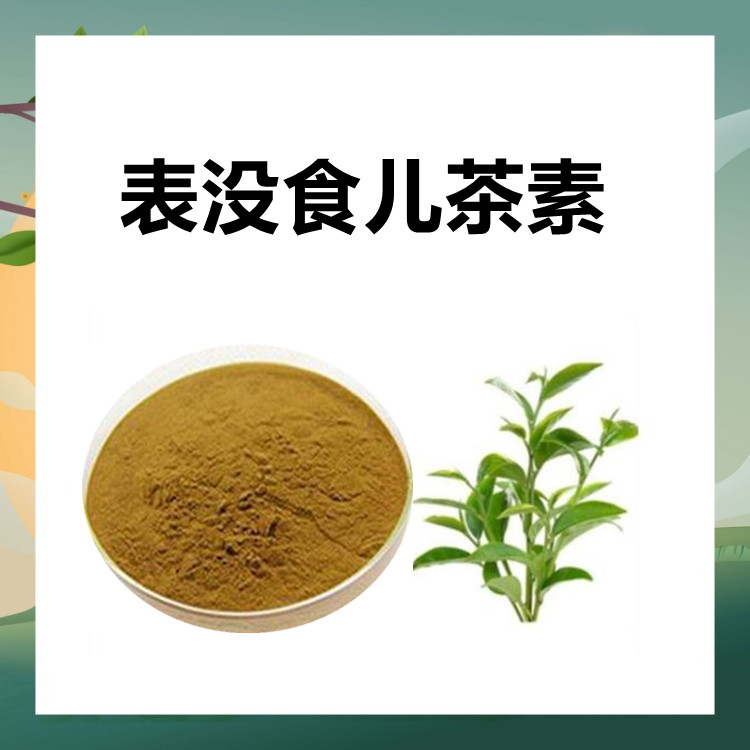 表没食子儿茶素   品质生产植物卒取工艺粉末细腻 无杂质 水溶性好