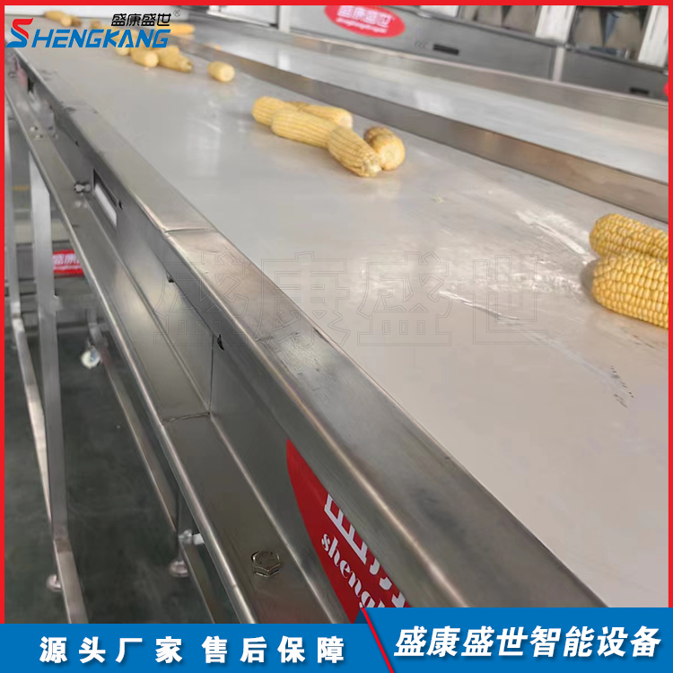 大型鲜玉米设备 盛康定制