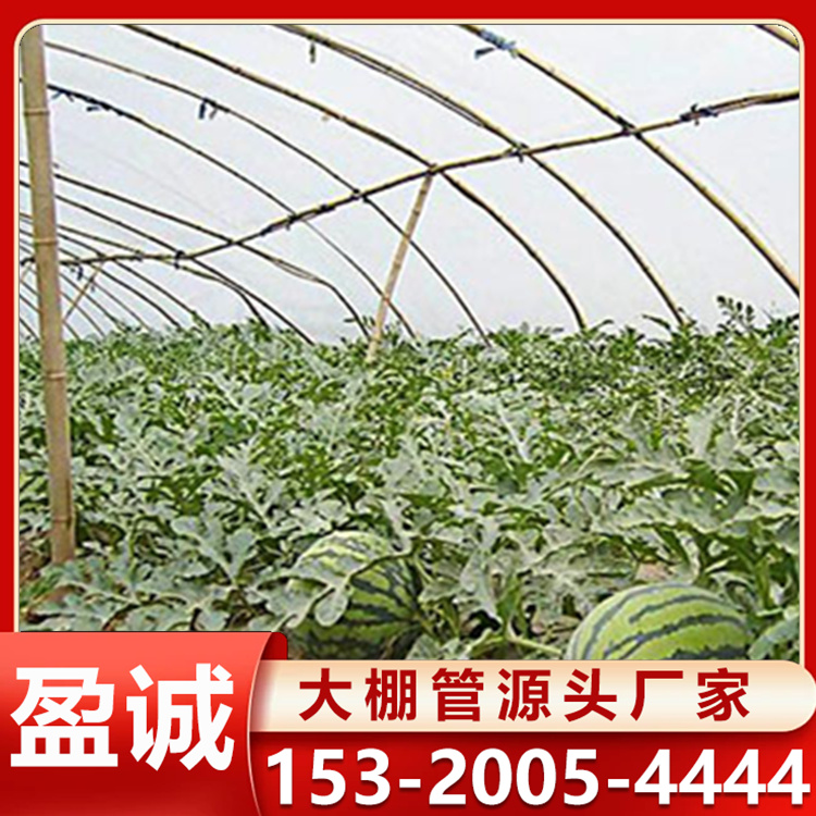 西瓜大棚骨架 工程承接 构架合理 农业温室大棚 镀锌钢管定制