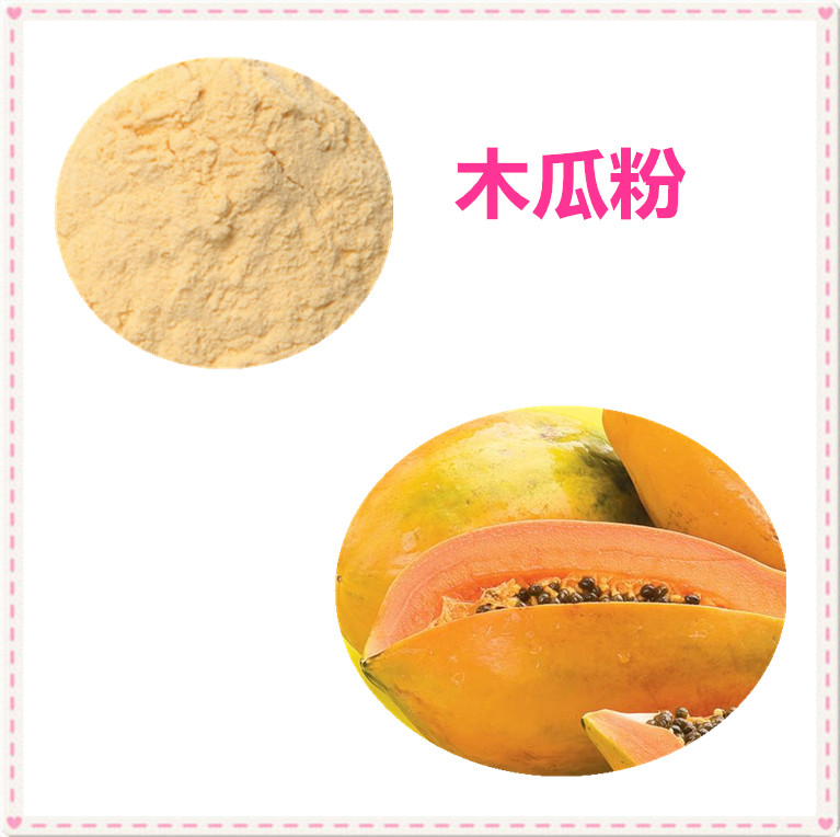 木瓜果粉 木瓜蛋白酶 木瓜酵素粉 木瓜提取物 10:1