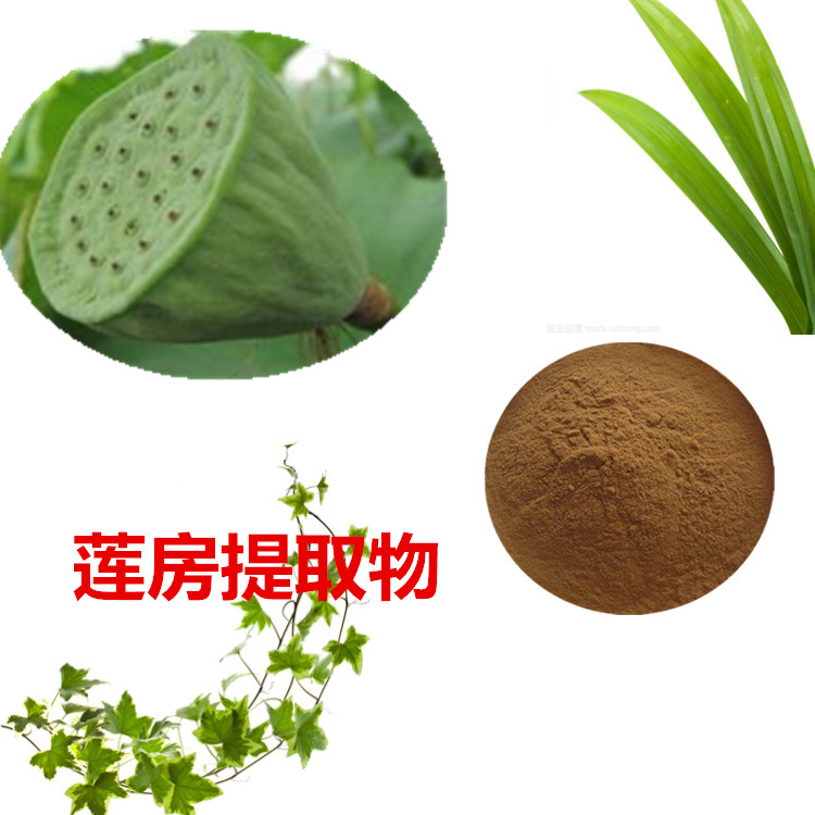 莲房提取物 10:1 水提 多规格比例 莲房浸膏 莲房浓缩粉