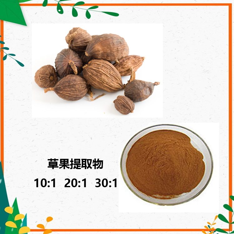 草果提取物 10:1 水提 草果浓缩粉 草果提取液  水提