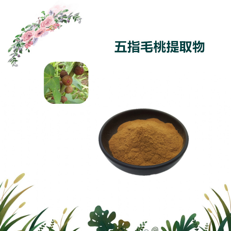 沃特莱斯生物 五指毛桃提取物 速溶粉 喷雾干燥粉 可定制