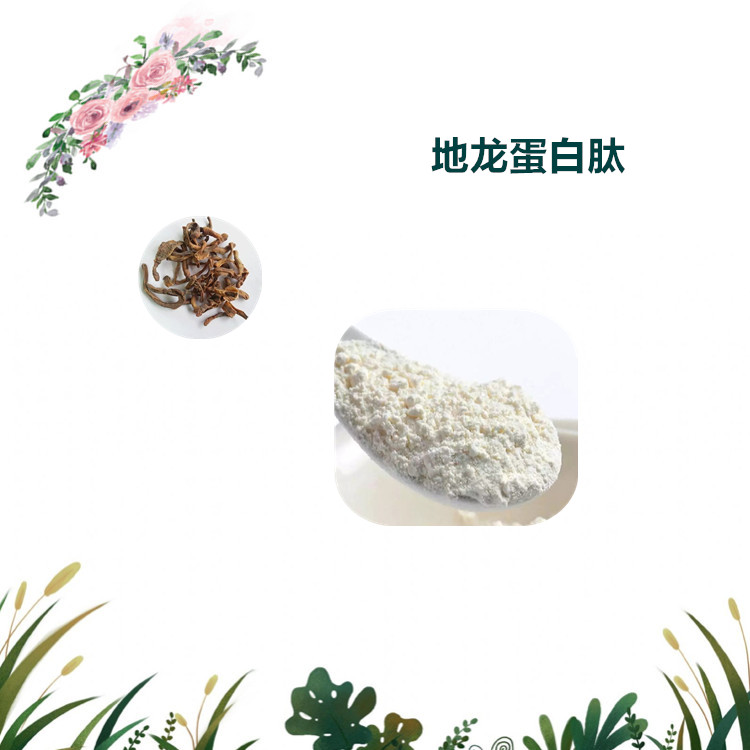 沃特莱斯生物 地龙蛋白 地龙提取物 水溶性很好 1公斤起订