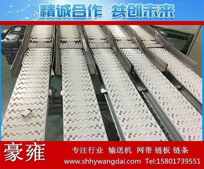 齿形链输送线