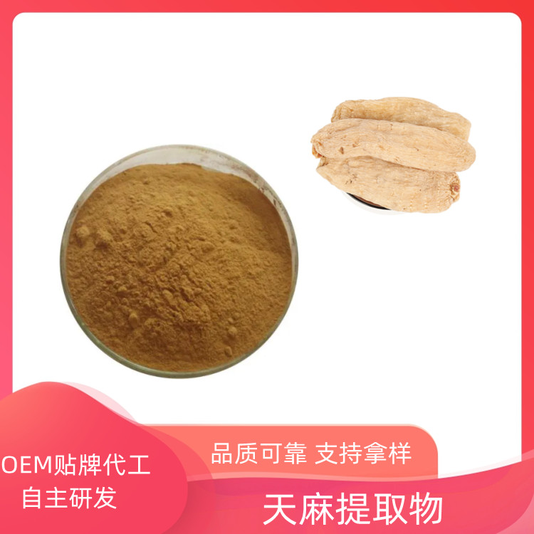 天麻提取物 速溶粉 10：1 20：1 可定制 浓缩干燥 一公斤起订