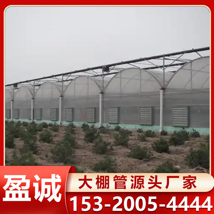 智能薄膜连栋大棚抗冲击能力强长久不失温骨架稳定耐用 大棚材料定制