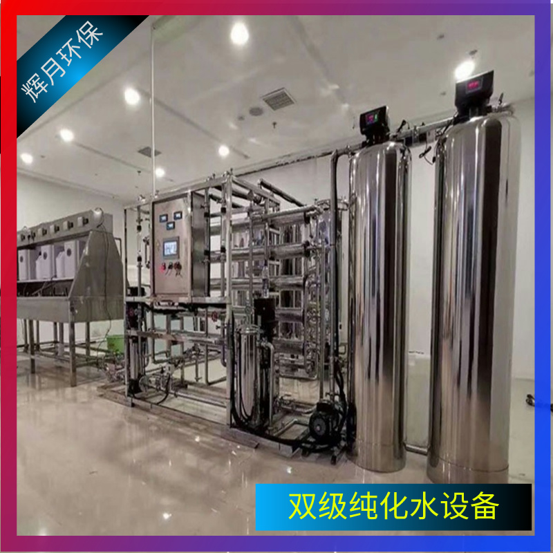 RO反渗透设备 电子级纯化水设备 辉月环保工业净化水处理设备源头厂家