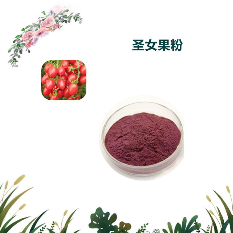 沃特莱斯生物 圣女果粉 速溶粉  圣女果原粉 多规格可定制