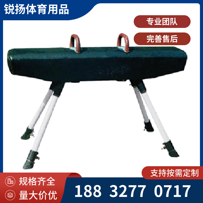 成人体操平衡训练健身康复器材上肢力量  体操器材