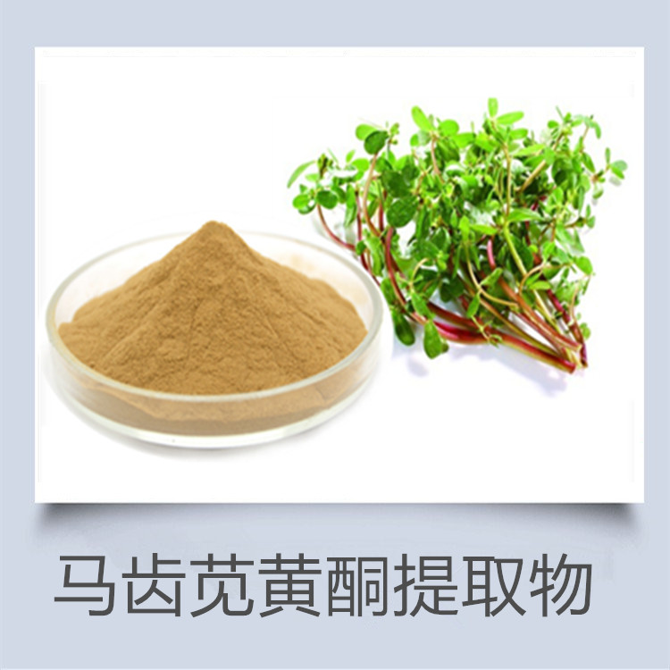 马齿苋黄酮粉 代代花提取物 纯粉无添加 提供小样