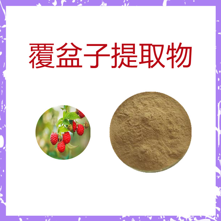 覆盆子提取物   含多种营养成分  比例产品   国标生产   粉末细腻  包邮