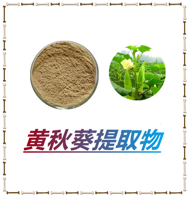 黄秋葵提取物   比例产品   质量稳定   粉末流动性好   固体饮料    包邮