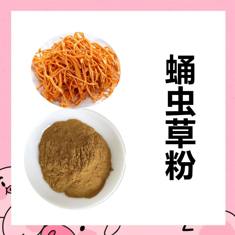 蛹虫草粉   浓缩萃取工艺 粉末疏松细腻 食品代餐粉原料