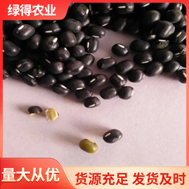 黑绿豆种子品种齐全