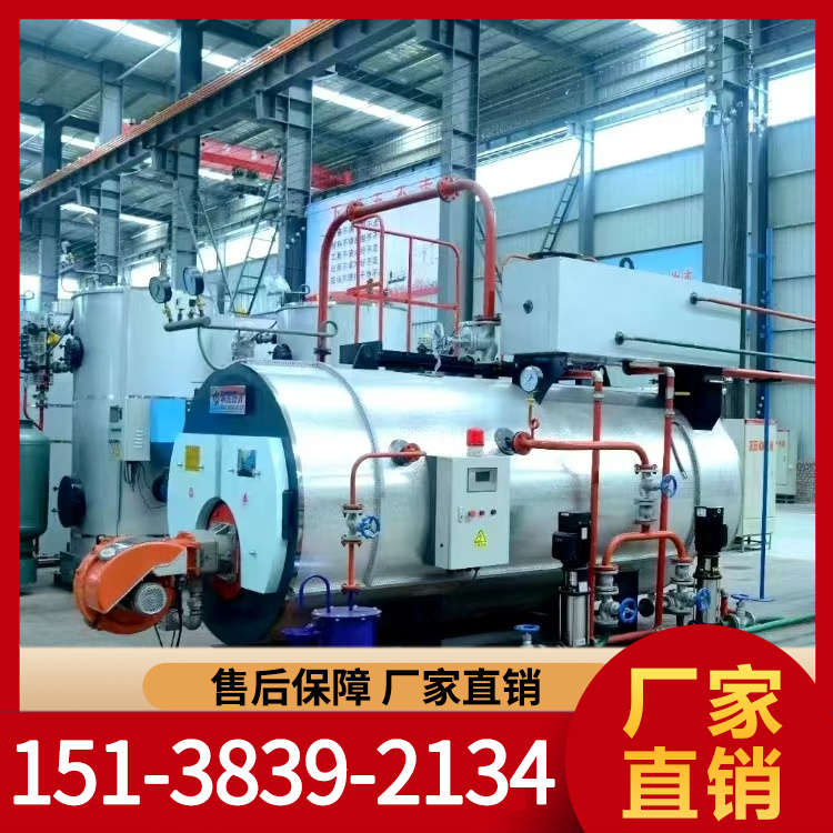 蒸汽锅炉 燃气锅炉 省时省力使用便捷 按需定制 力能锅炉设备