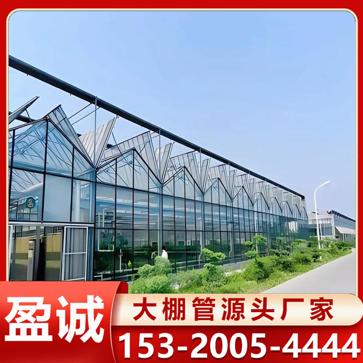 智能连栋玻璃温室大棚 农业种植观光用 御寒效果好