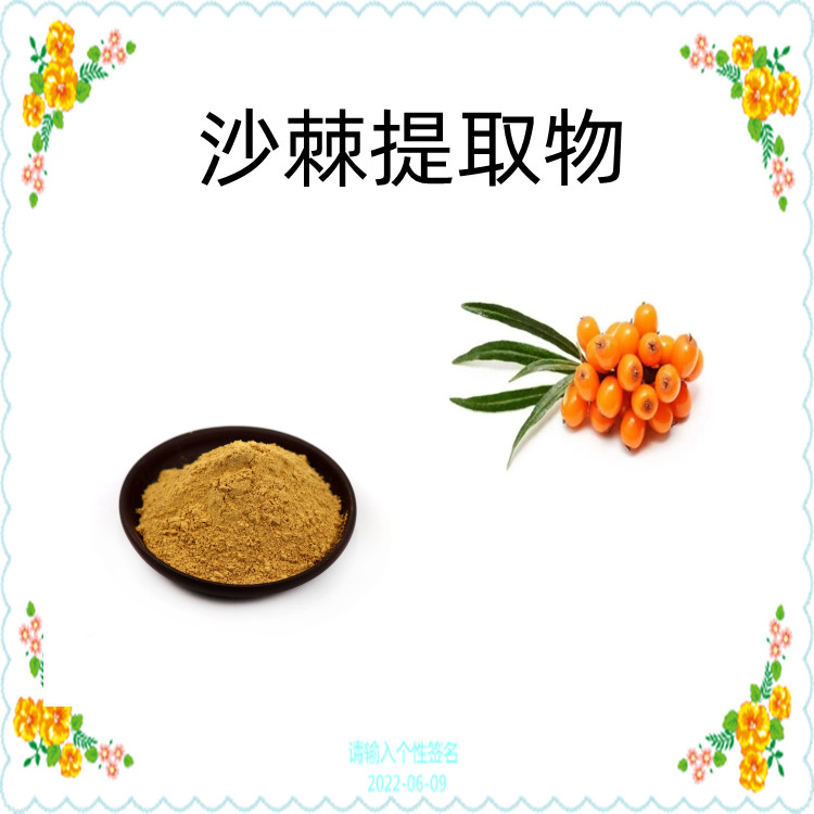 沙棘叶提取物 沙棘叶粉 沙棘叶提取液 沙棘叶浸膏 全水溶 食品级原料 多种规格 沃特莱斯生物