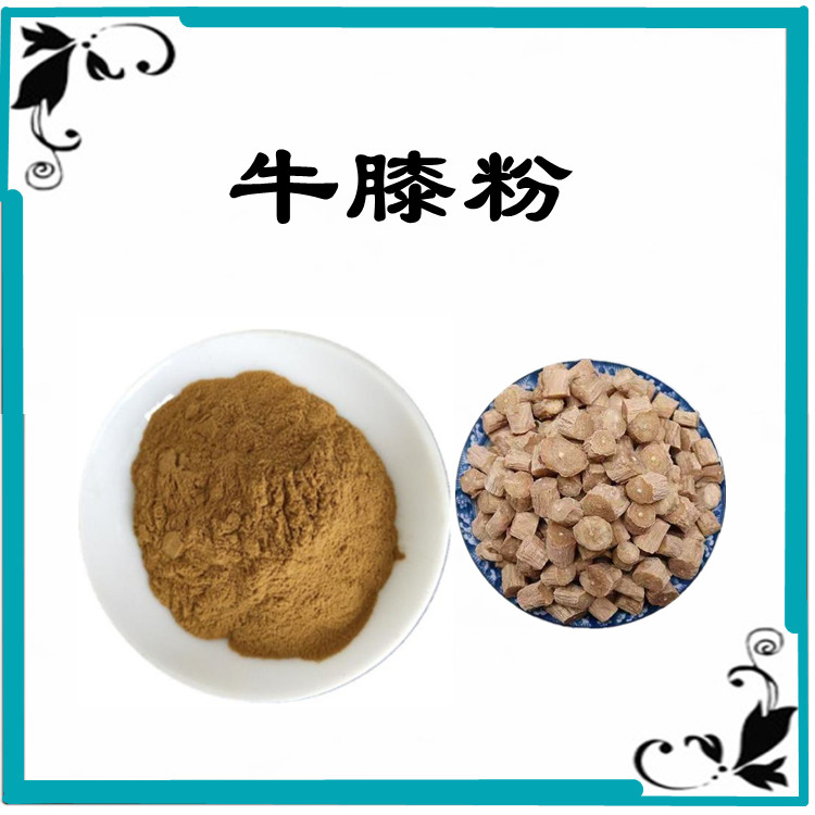 牛膝粉 植物提取物 包装检测全程把关 质量稳定 水溶性好