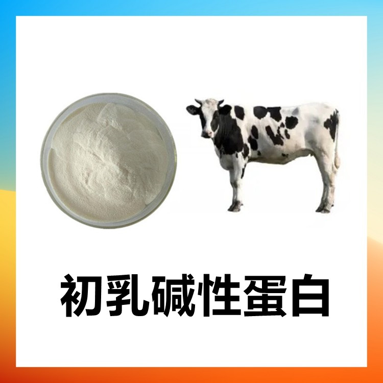 初乳碱性蛋白粉  比例提取 多种规格 含税运 水溶性好 支持拿样