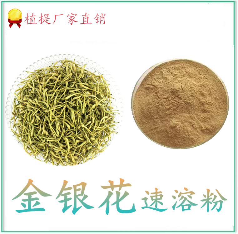 金银花提取物 浓缩速溶粉 斯诺特生物 可做固体饮料