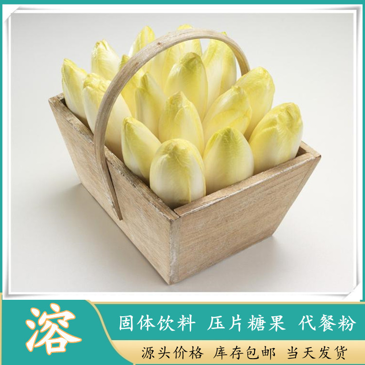 水溶菊苣粉 菊苣浓缩提取多比例 纸板桶包邮定制