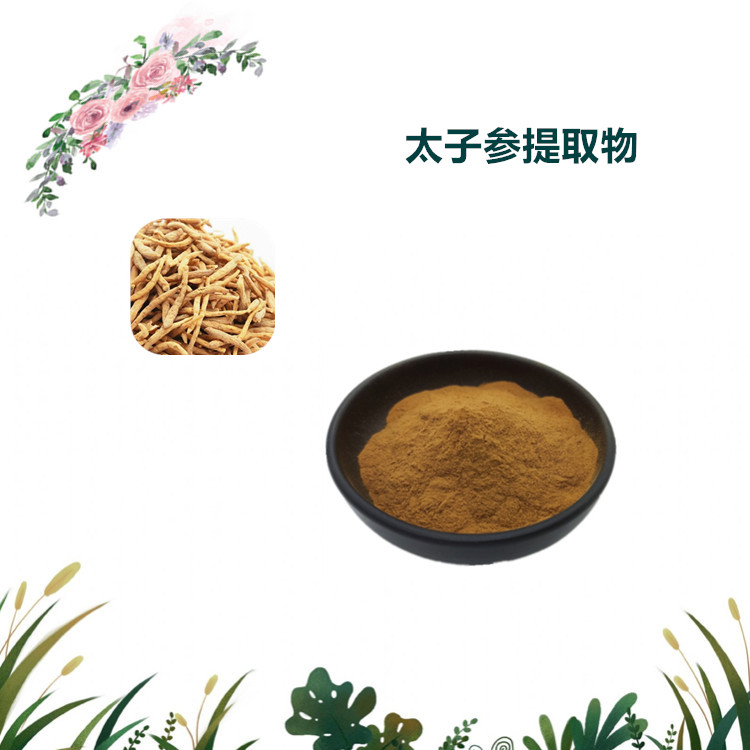 沃特莱斯生物 太子参提取物 速溶粉 喷雾干燥粉 1公斤起订